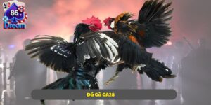 Đá Gà GA28