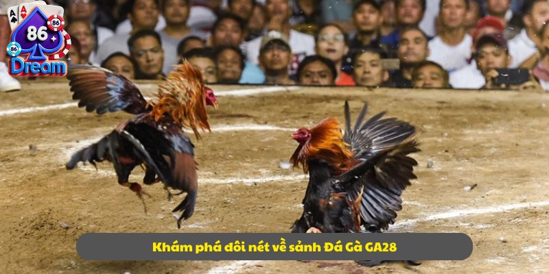 Khám phá đôi nét về sảnh Đá Gà GA28