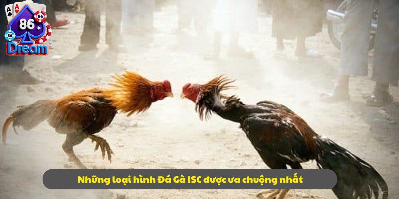 Những loại hình Đá Gà ISC được ưa chuộng nhất